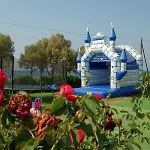 Hotel Oasis 3*