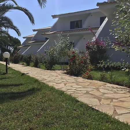 Oasis