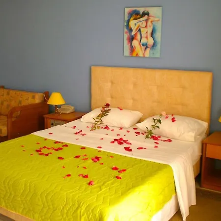Hotel Oasis 3*